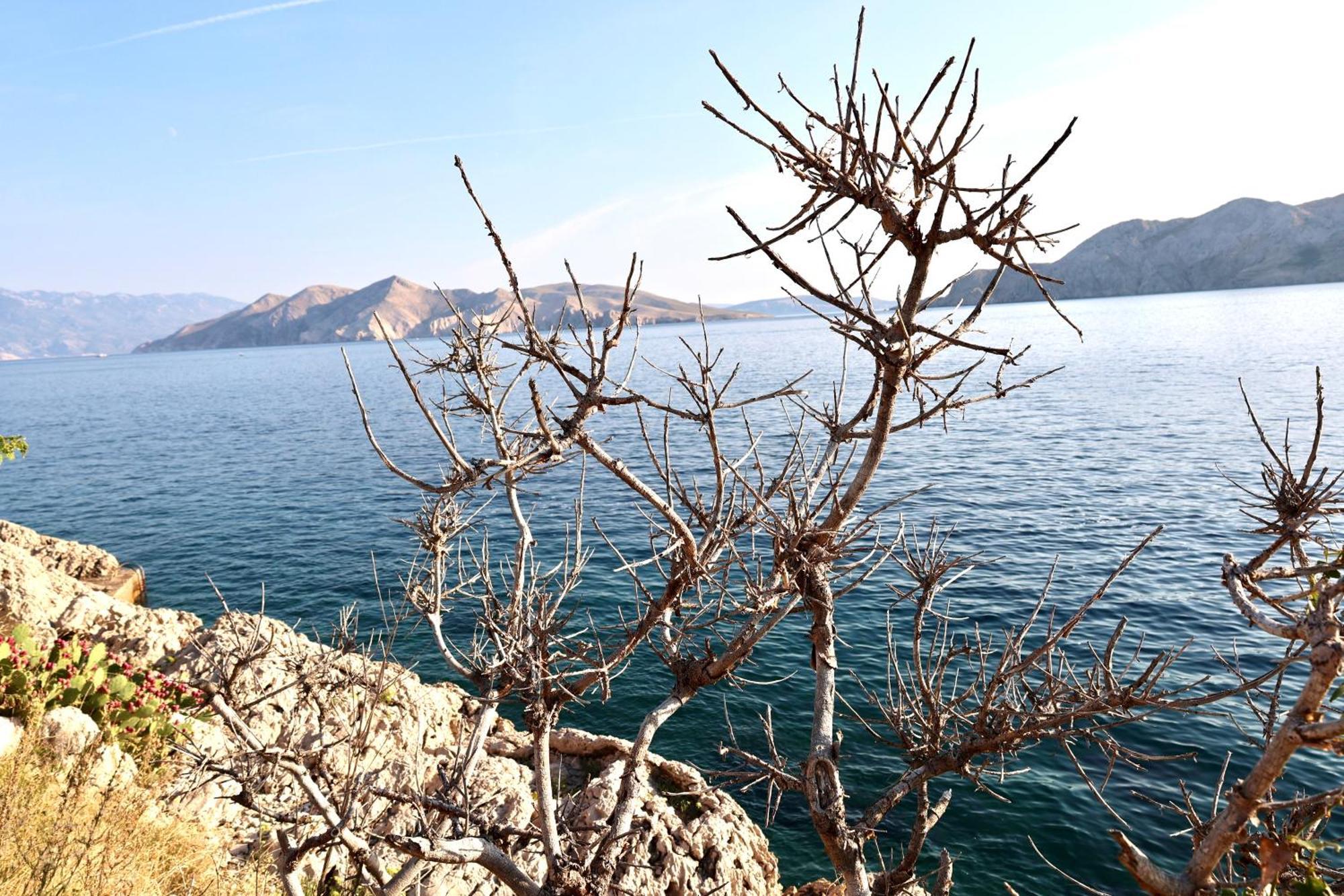 Villa Perla Baska エクステリア 写真